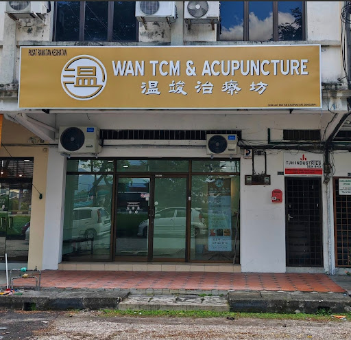 WAN TCM AND ACUPUNCTURE 温竣治療坊