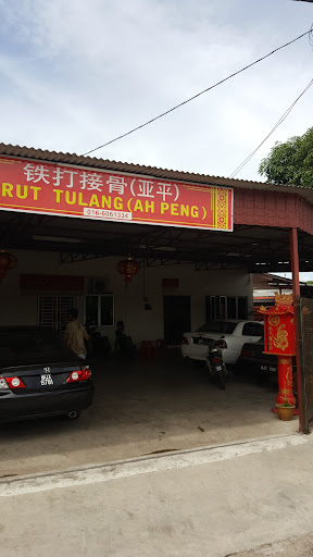铁打接骨(亚平) 铁打接骨(亚平)