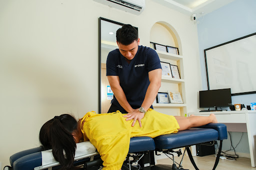 BP Chiro-KL Equine 脊骨神经矫正专科