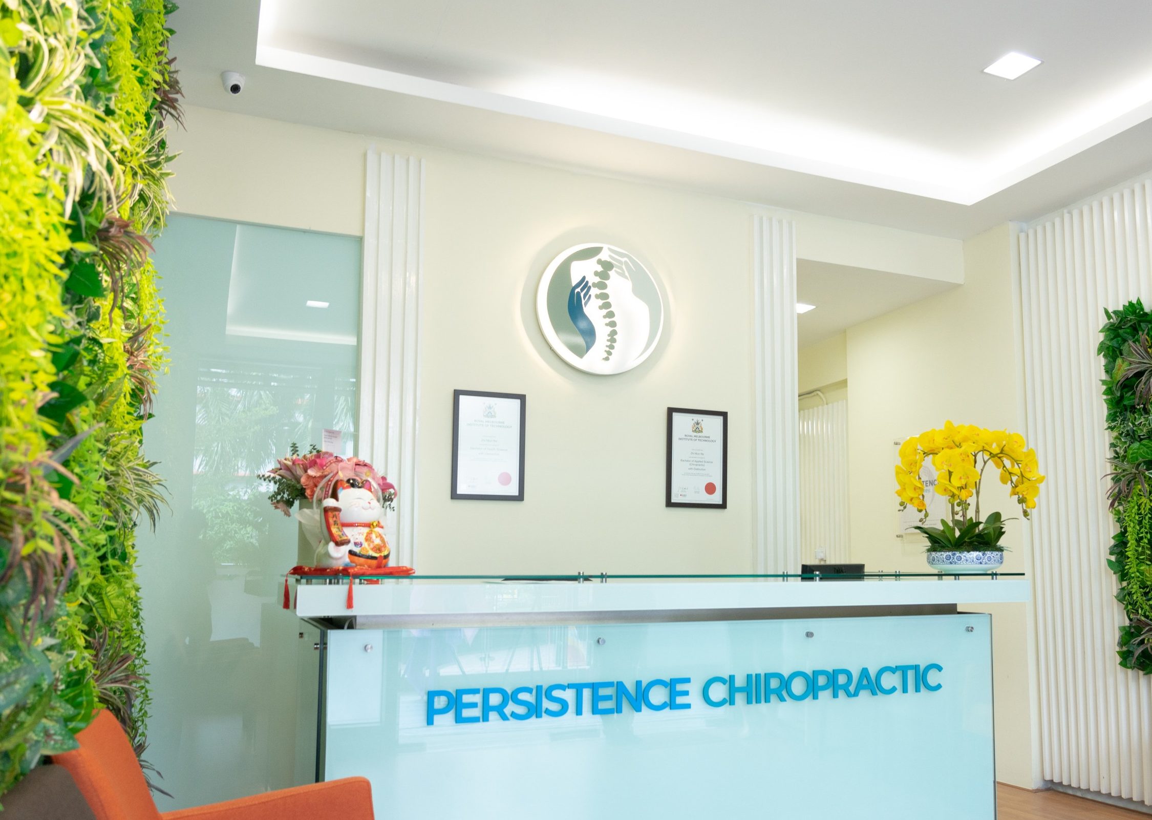 persistence chiropractic care