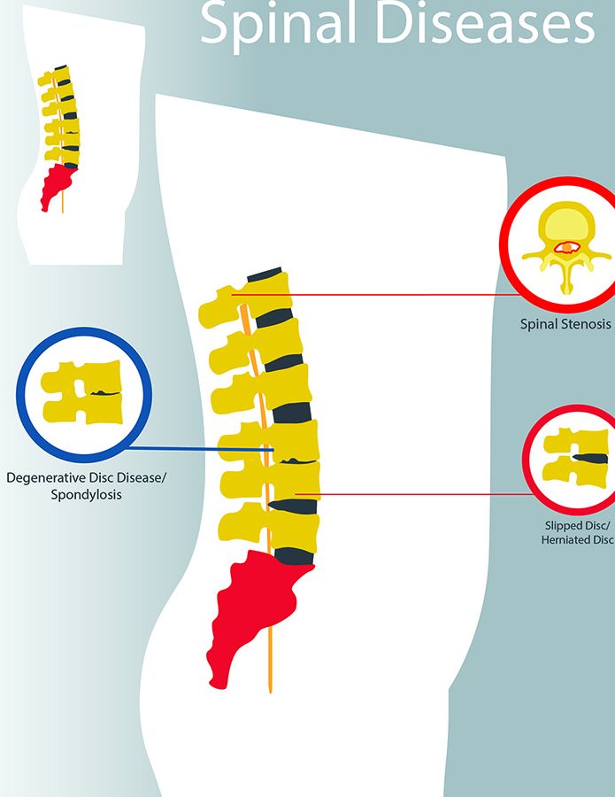 spinelab chiropractic centre e8848ae6a48ee7a59ee7bb8fe79fabe6ada3e4b8ade5bf83
